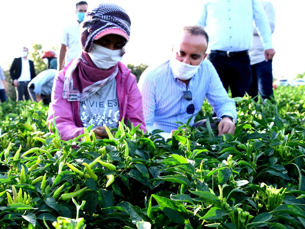 GÜBRE FİYATLARINDA YÜZDE 30’A VARAN İNDİRİM