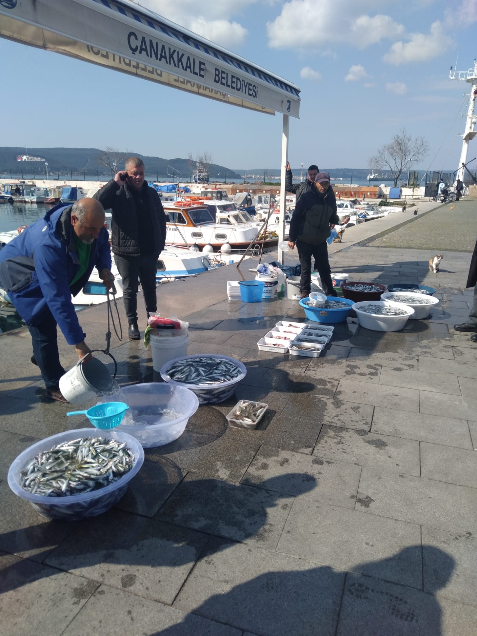 Kooperatif üyeleri Çanakkalelileri taze ve ucuz balıkla buluşturuyor&nbsp;