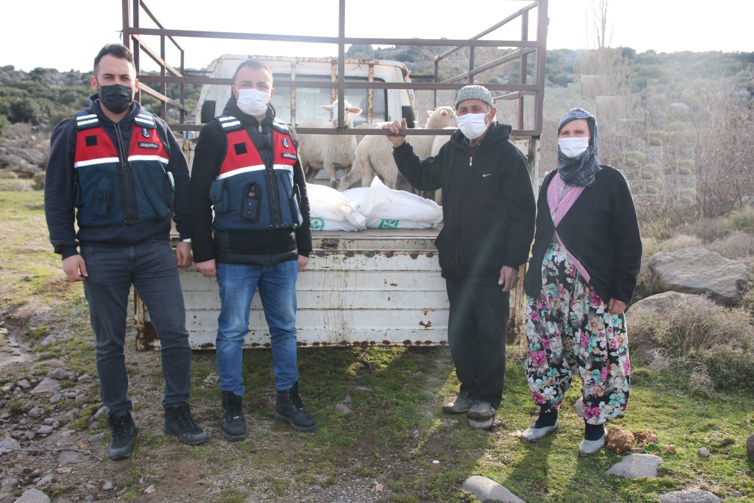 Ayvacık’ta küçükbaş hayvan hırsızları yakalandı