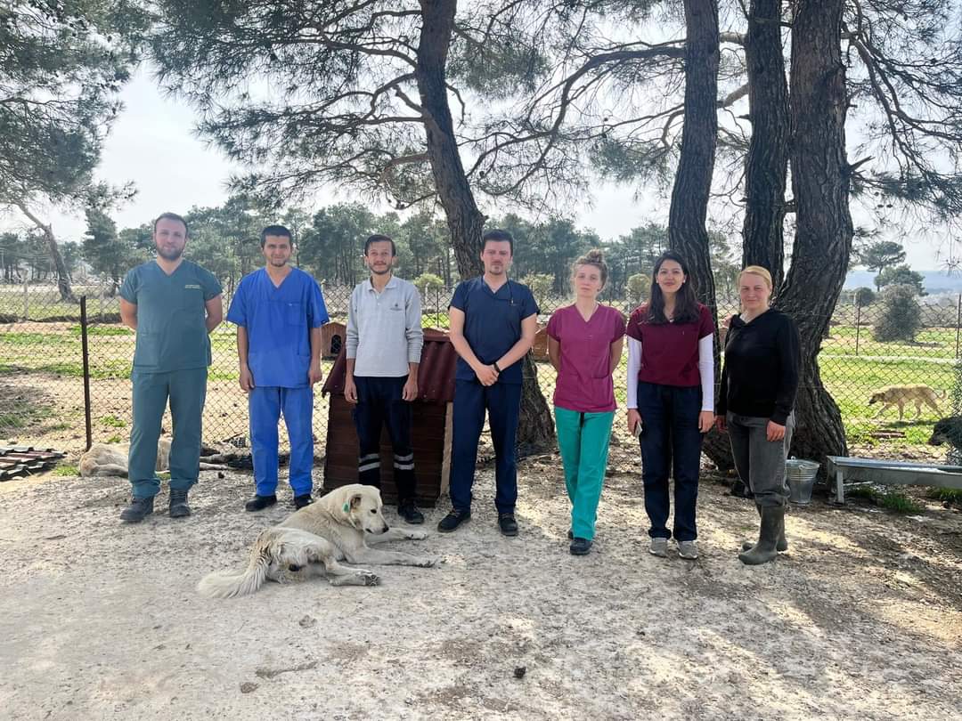 Hayvan Refahı ve Popülasyon Kontrolü Projesi Tamamlandı