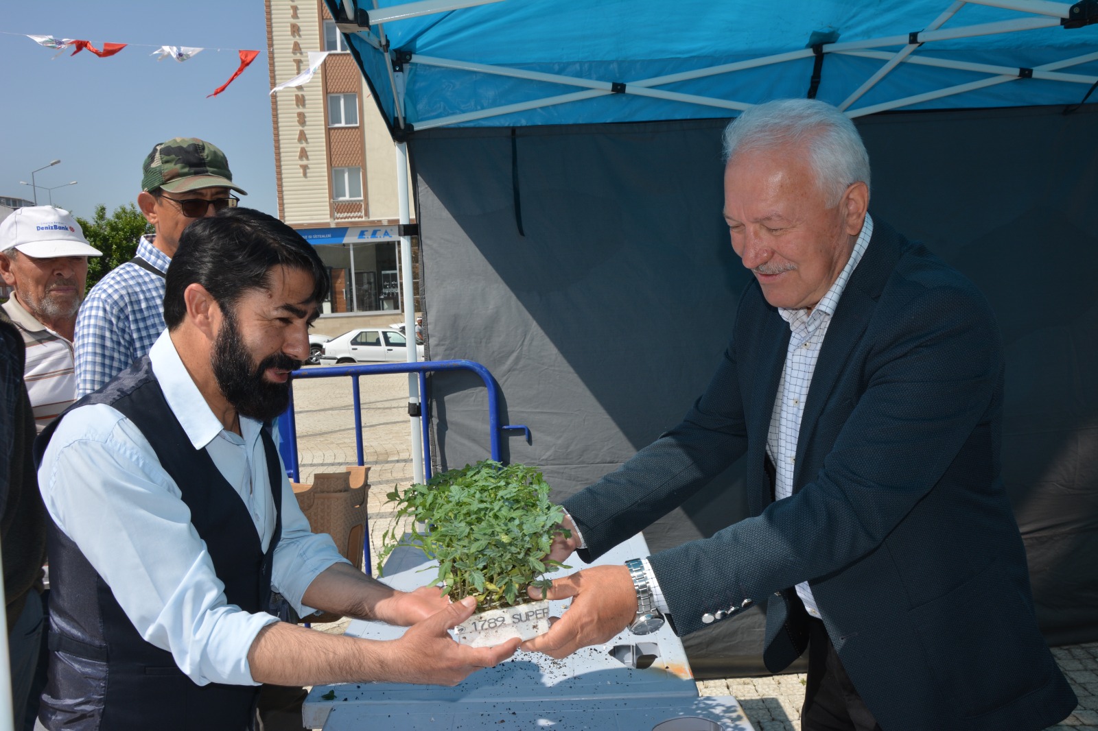 Lapseki Belediyesi 51 Bin Domates Fidesi Dağıttı