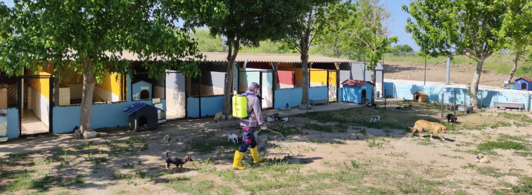 Can Dostların Yaşam Alanları Parazitlere Karşı İlaçlandı