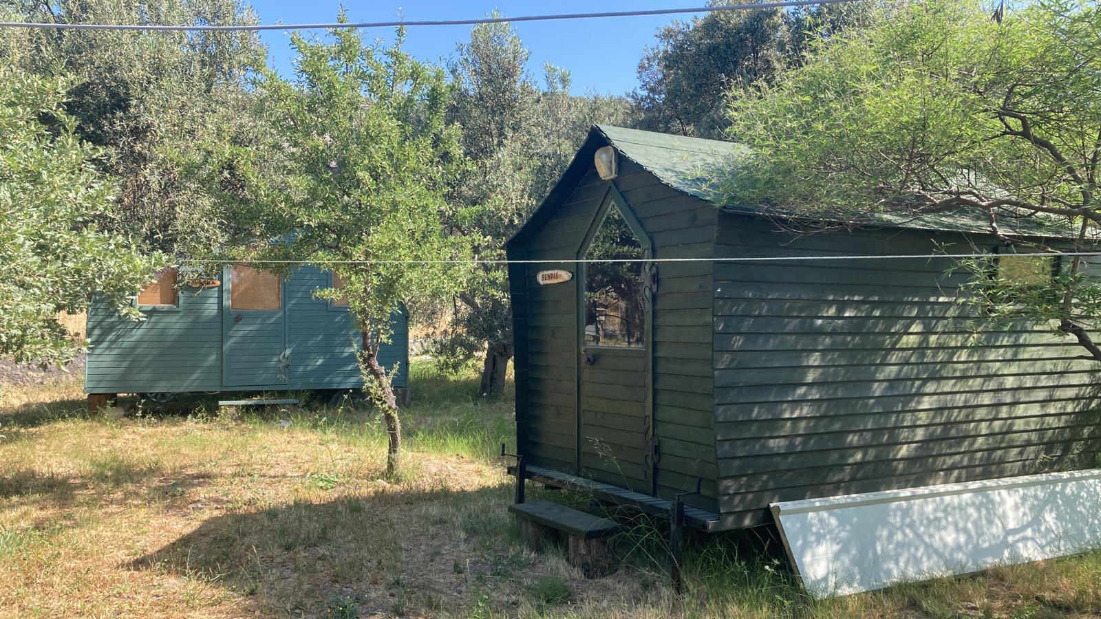 Barakano.on 15 Haziran’da hizmete açılıyor