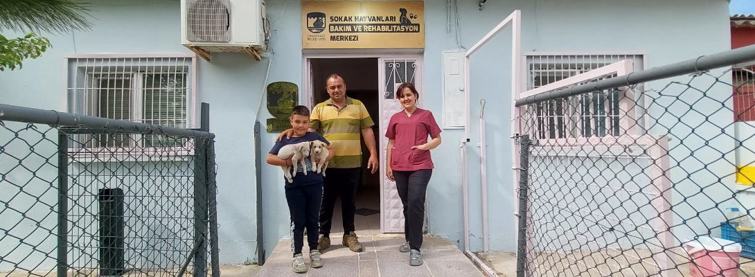 Sokak Hayvanları İçin Çalışmalar Aralıksız Sürüyor