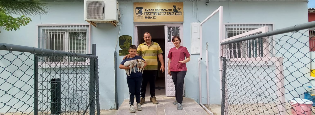 Çanakkale Belediyesi sokak hayvanları İçin yaptığı çalışmaları aralıksız sürdürüyor