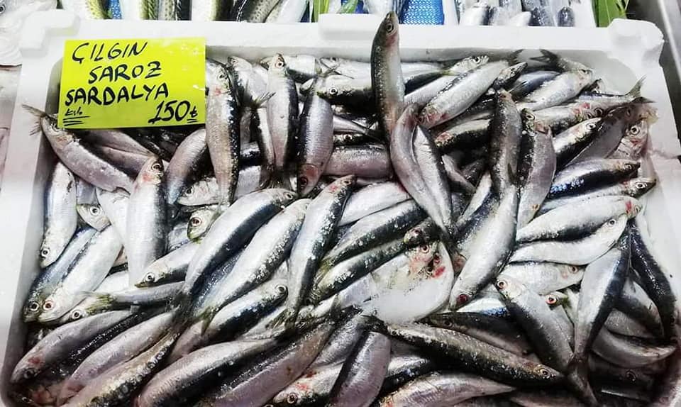 Balık fiyatlarındaki yükseliş devam ediyor: sardalyanın kilosu 150 TL