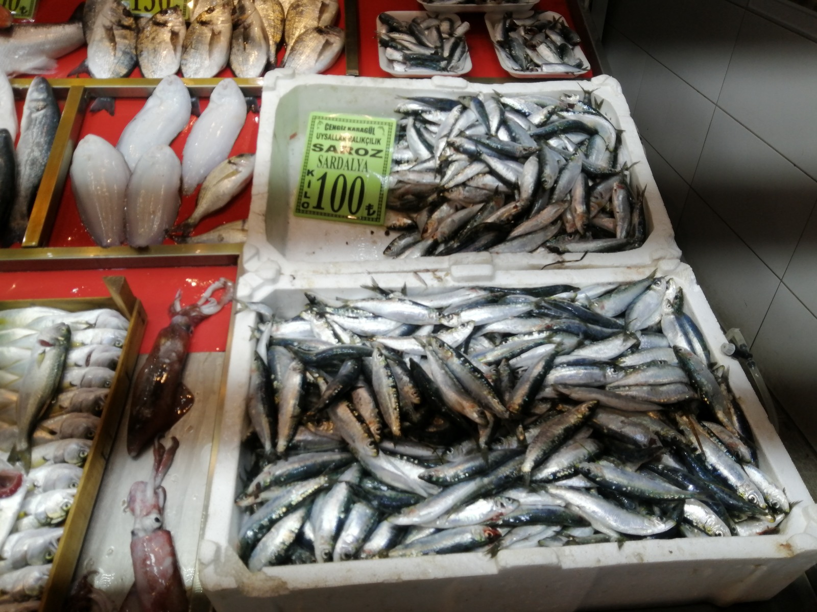 Sardalyanın kilosu 100 TL’ye düştü