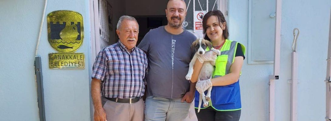 Sokak hayvanları için çalışmalar aralıksız sürüyor