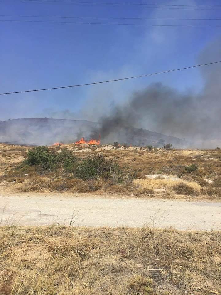 Bozcaada’da çıkan örtü yangını kontrol altına alındı