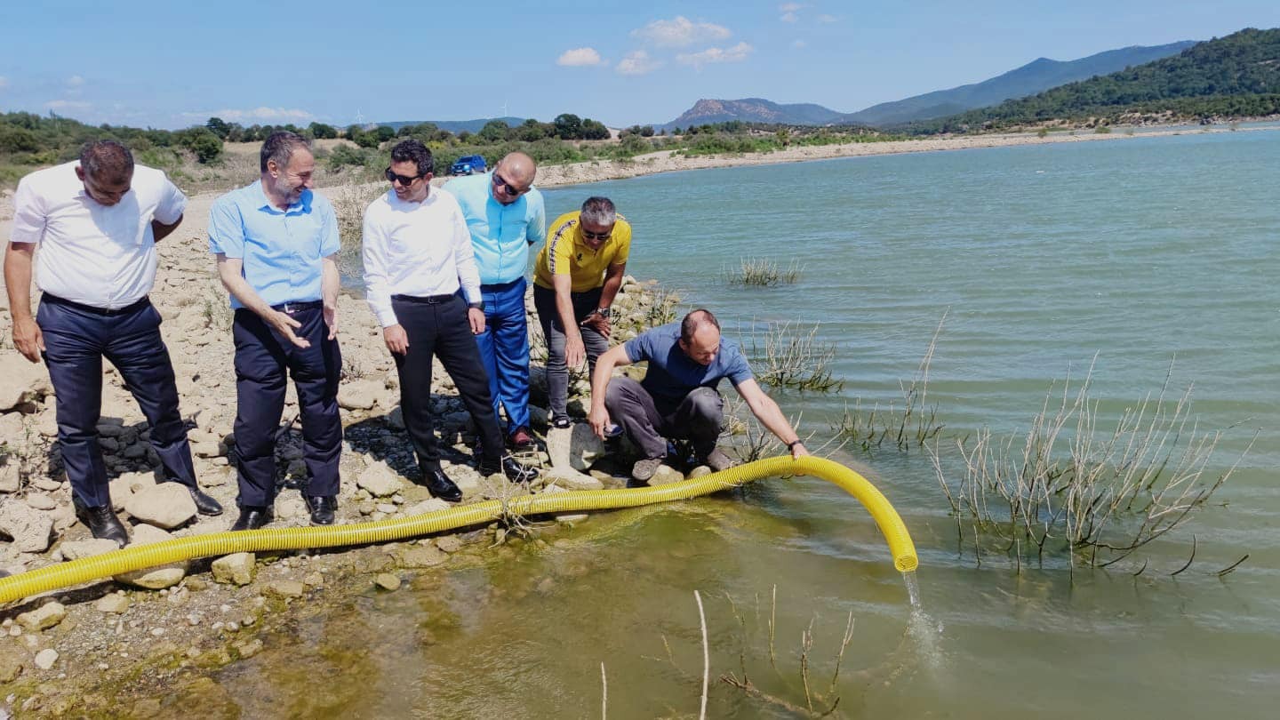Ayvacık’ta 110 bin adet sazan yavrusu bırakıldı