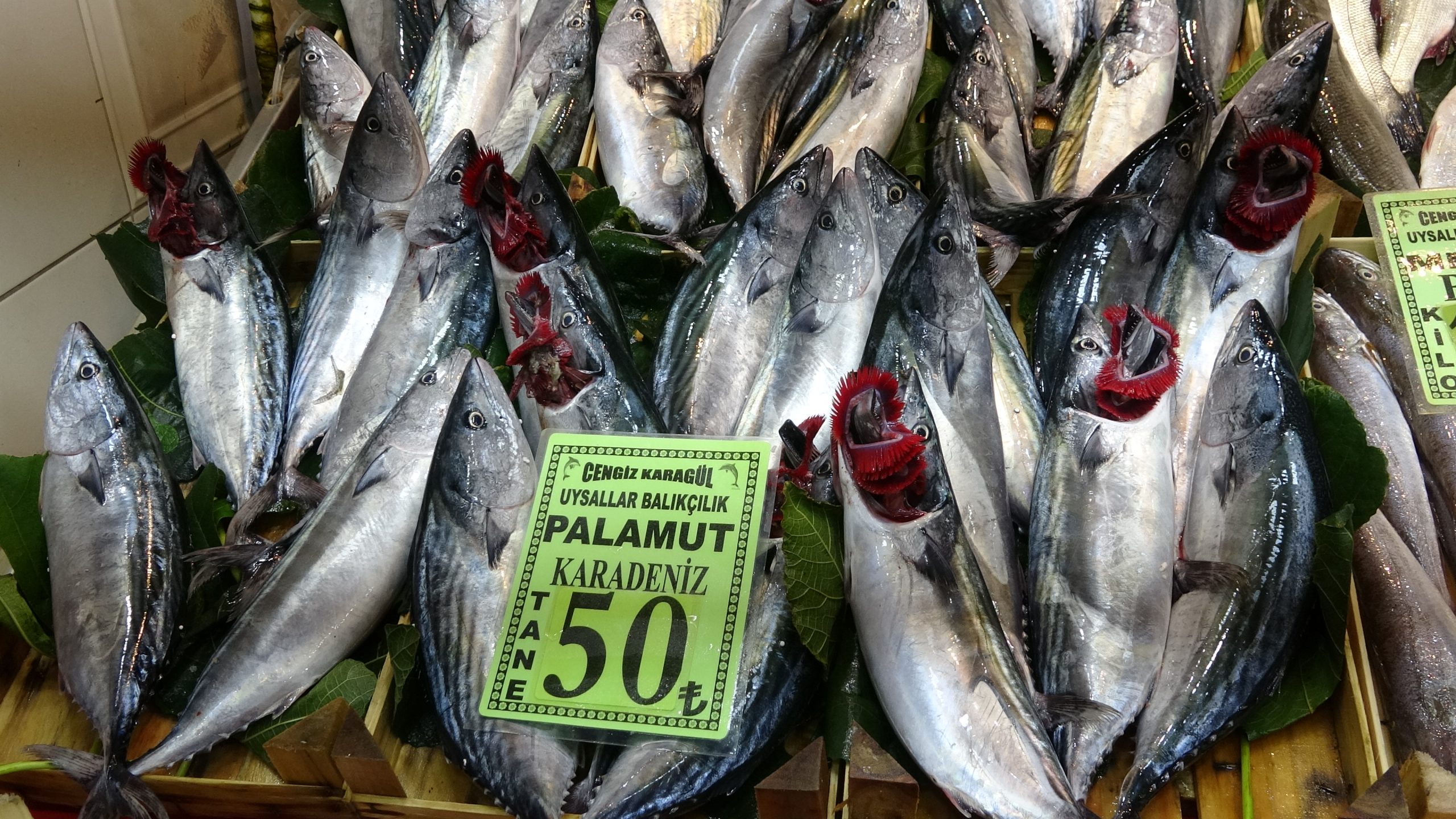 Vatandaşlardan yoğun ilgi