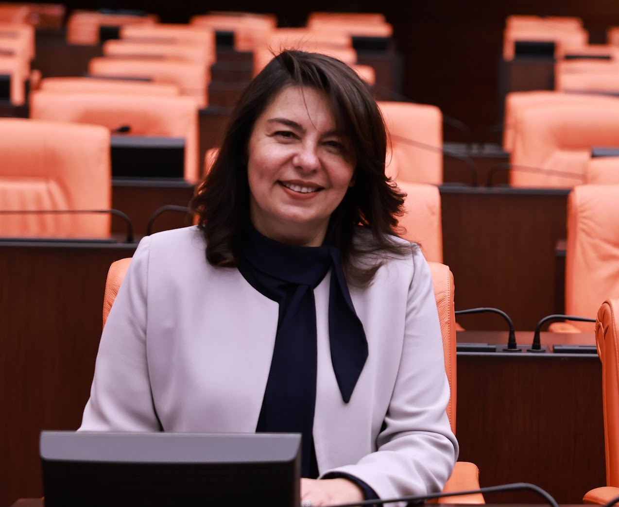 Troya Kültür Yolu Festivali Meclis gündeminde