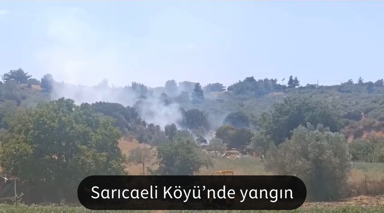 Sarıcaeli Köyü’nde yangın