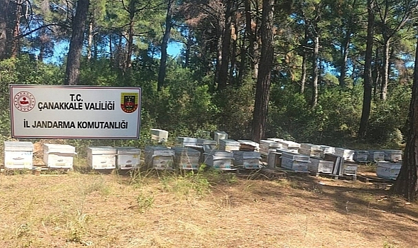 JANDARMA GÖZ AÇTIRMIYOR