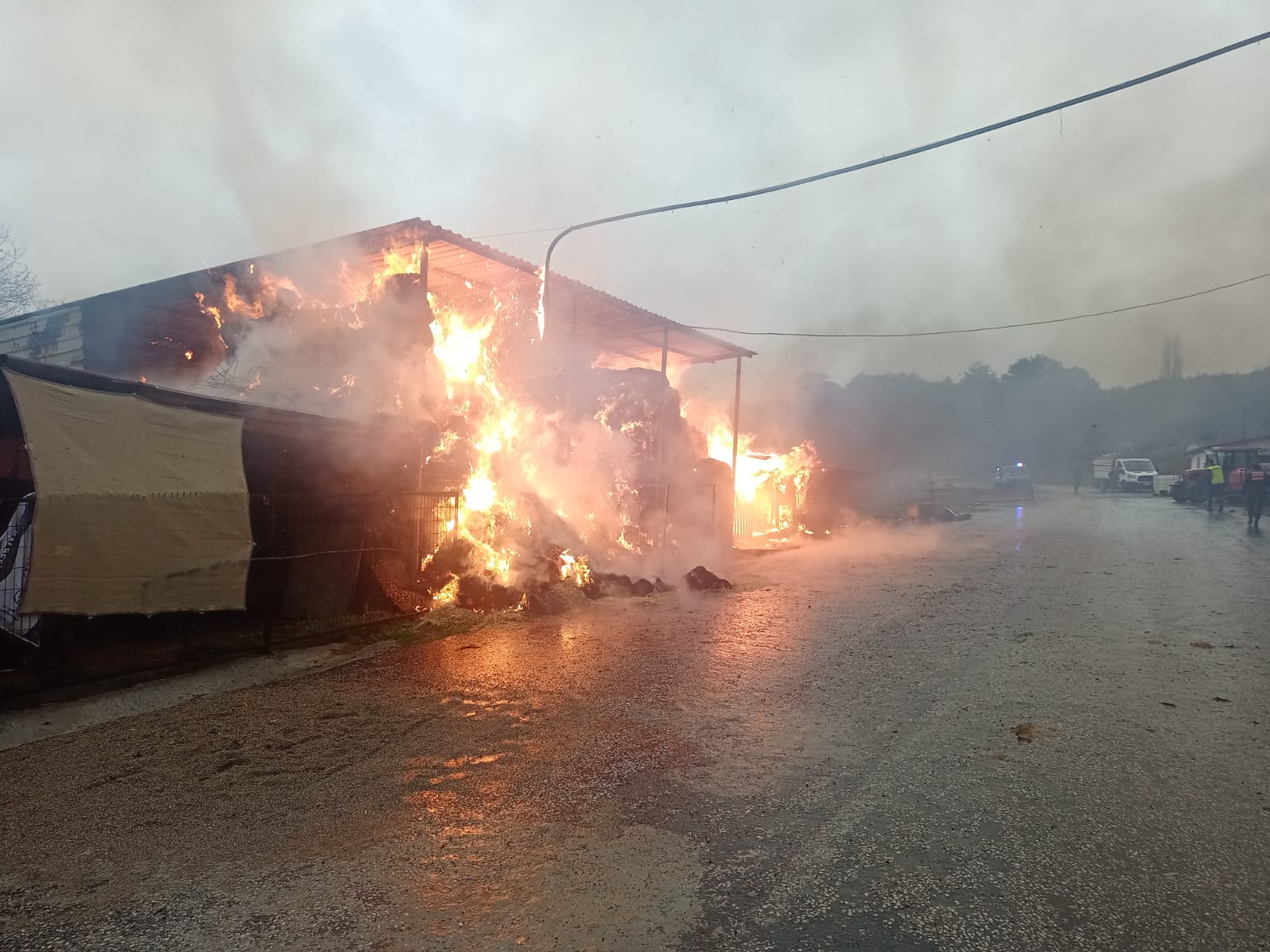 Balaban tesisleri altında yangın