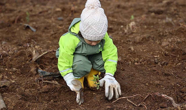 Yeşil Dönüşüm Ormanları Projesi, 80 Bin M² Yeşil Alan Yarattı