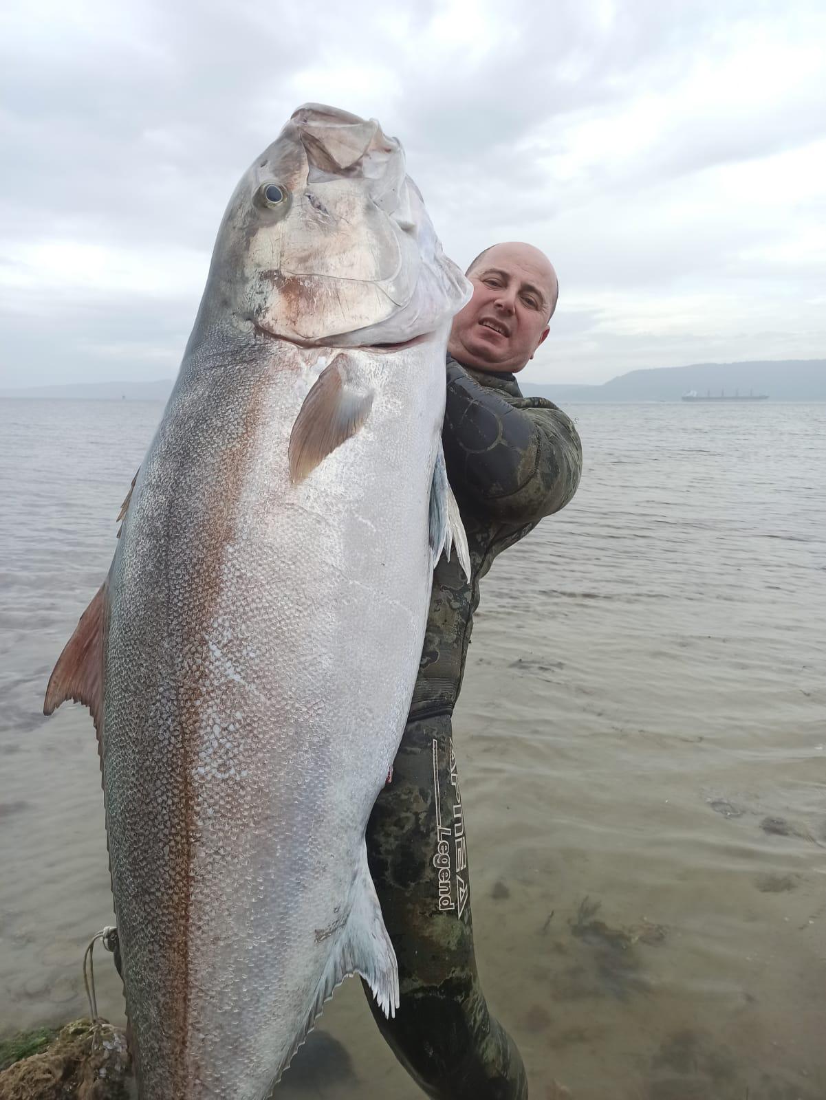 Zıpkınla 1.8 metre boyunda 63 kilogram akya balığı avladı