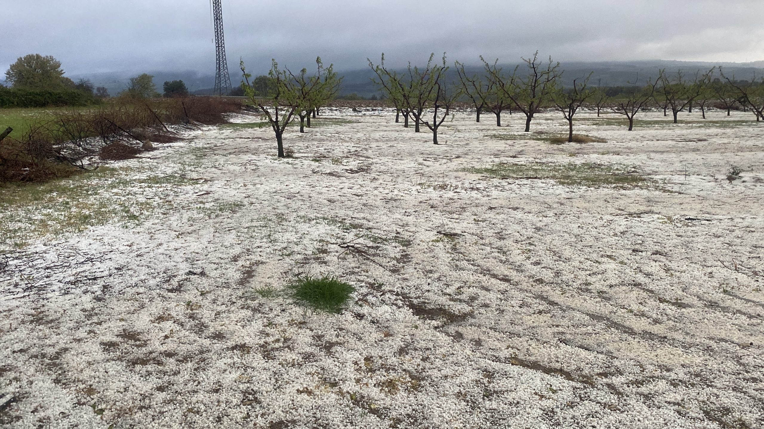 Lapseki’de meyve tarlalarını dolu vurdu