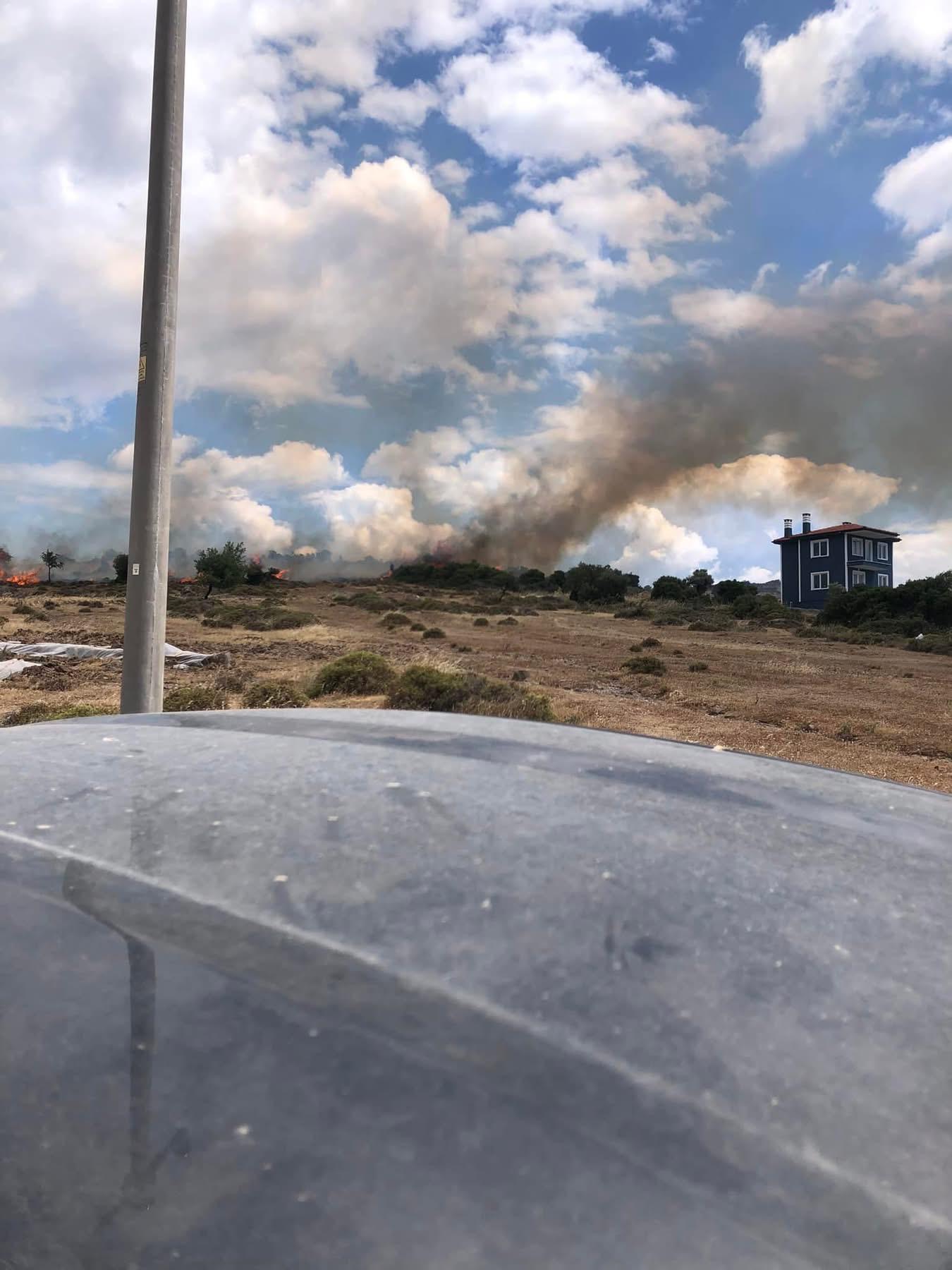 Ayvacık’ta otluk alan yangını korkuttu