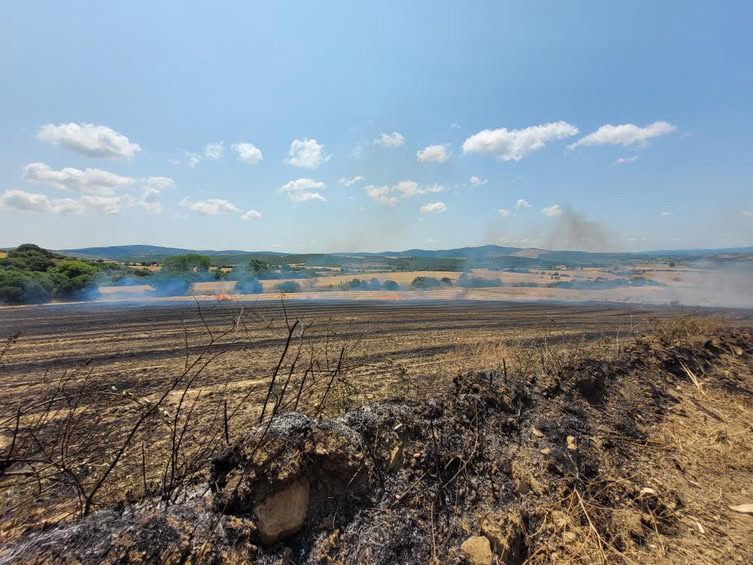 Biga’da tarım arazisinde çıkan yangın kontrol altına alındı