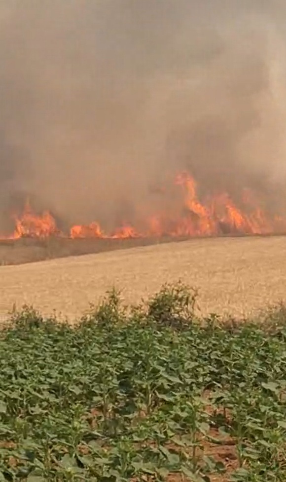 Çanakkale’de tarım arazisinde yangın