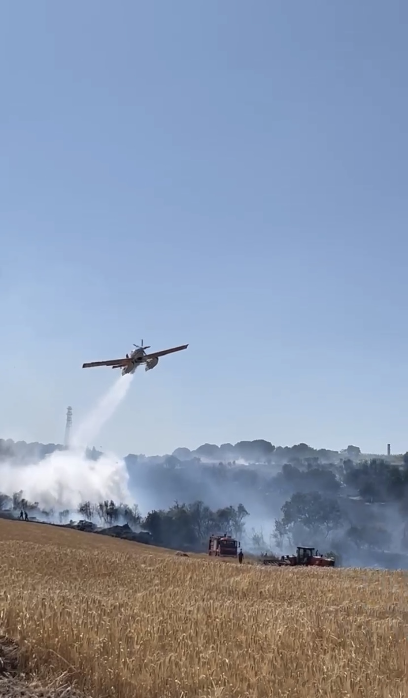 Çanakkale tarım arazisinde başlayıp ormana sıçrayan yangın kontrol altına alındı