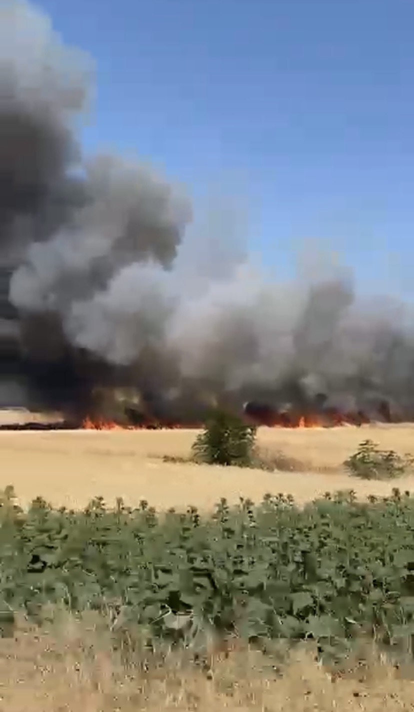 Çanakkale’de tarım arazisinde çıkan yangın kontrol altına alındı