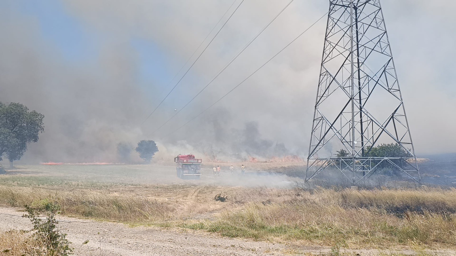 Çan’da tarım arazisinde yangın kontrol altına alındı