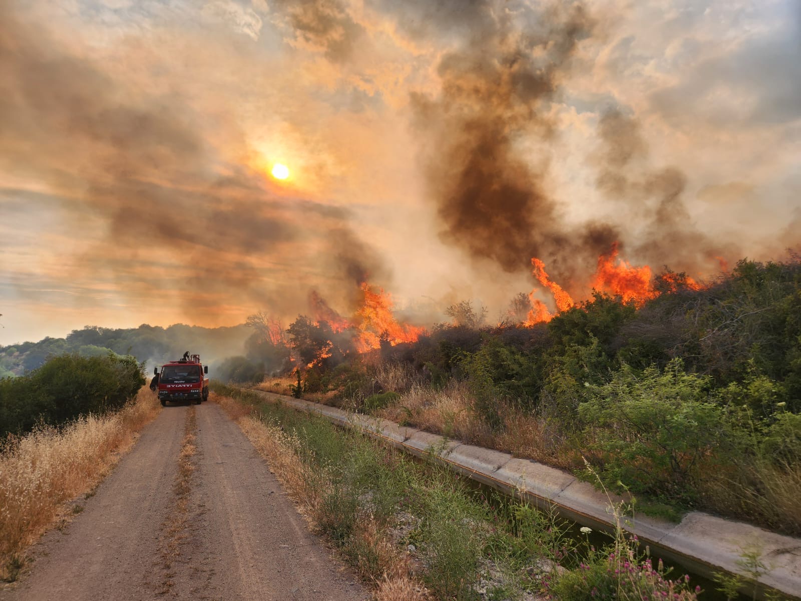 Çanakkale’deki otluk alanda çıkan yangın 1 saatte söndürüldü