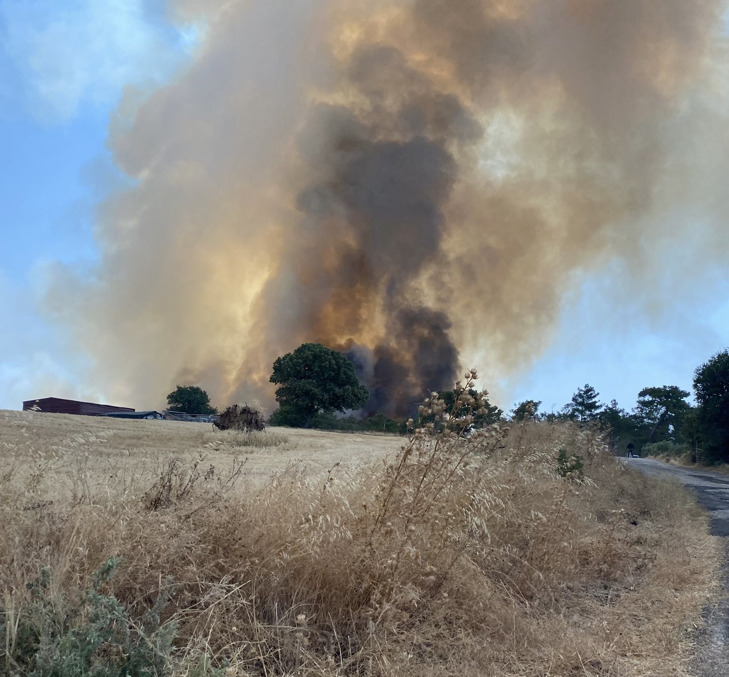 Ezine’de orman yangını