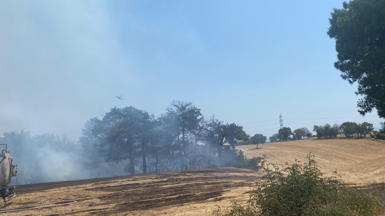 Çanakkale’de orman yangını kontrol altına alındı