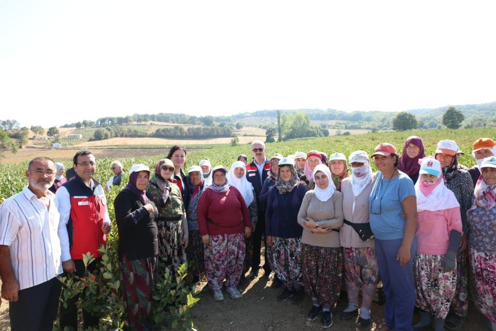Aronya yetiştiriciliğinde Türkiye 3’üncüsü olan Çanakkale’de ilk hasat gerçekleştirildi