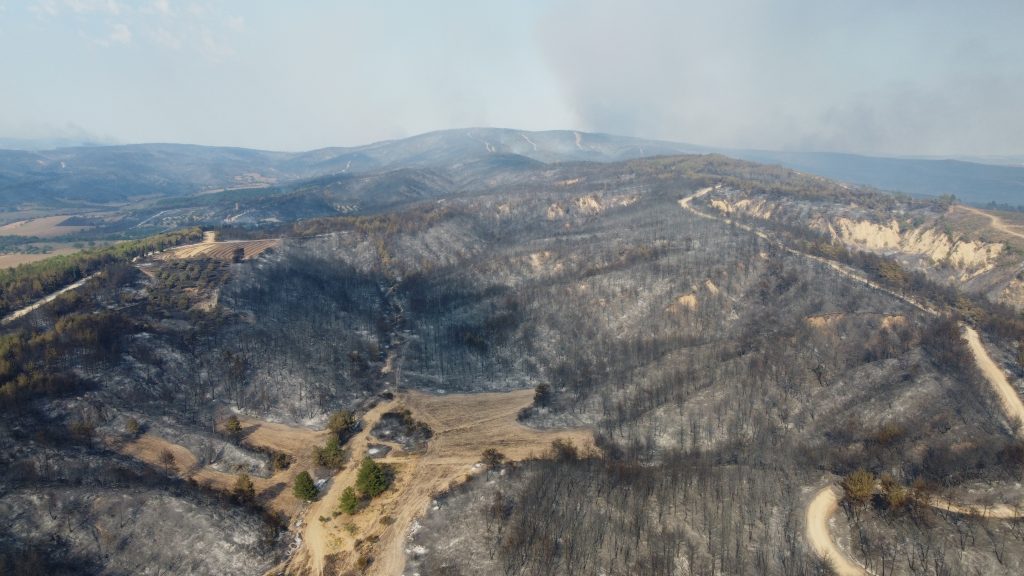 Çanakkale’deki 4 yangında 5 bin 236 hektar orman alanı zarar gördü