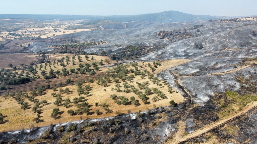Alevler sadece zeytinliğe zarar vermedi 