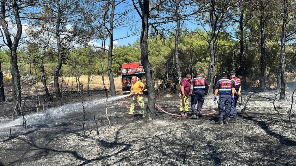 Çanakkale’de korkutan yangın