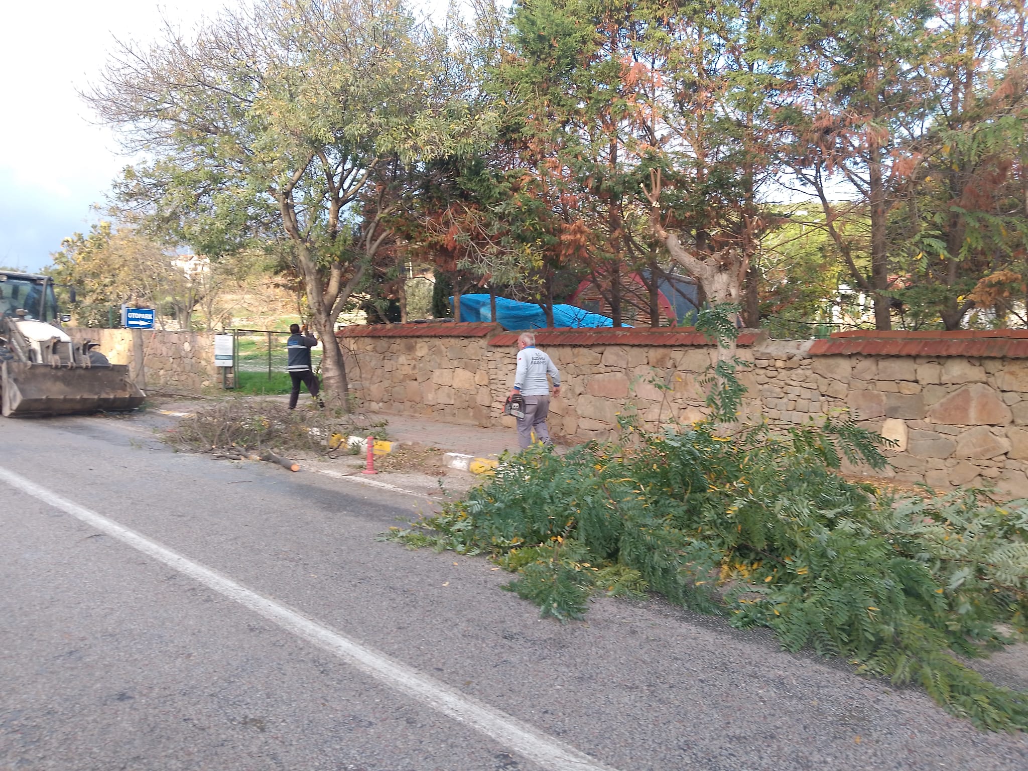 Bozcaada Belediyesi temizlik ve bakım çalışmaları devam ediyor