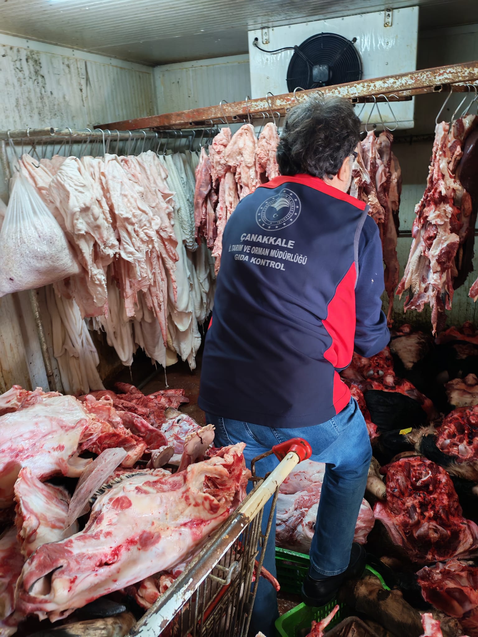 Çanakkale’de izinsiz ve uygunsuz şartlarda çalışan işletme mühürlendi