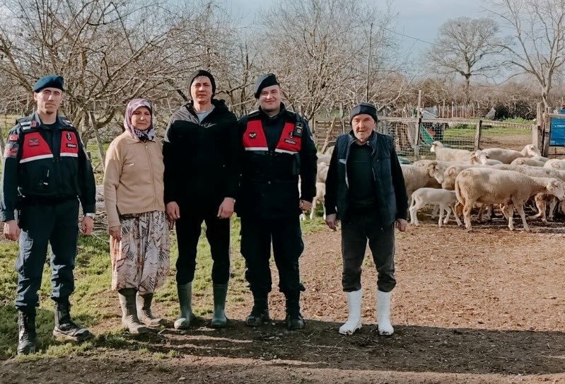 Biga’da kaybolan 24 küçükbaş hayvanı jandarma buldu